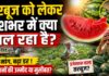 गर्मी में ‘लाल सोना’ बना तरबूज, बाजार में डिमांड के साथ सोशल मीडिया पर डर और अफवाह भी बढ़ी